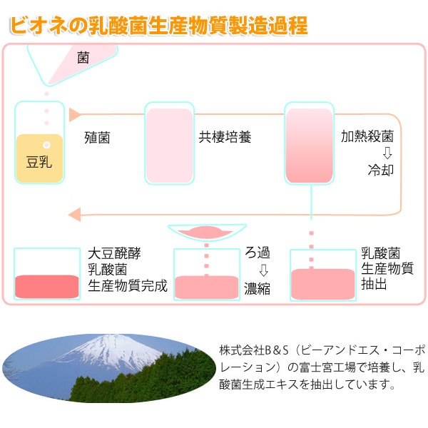 ビオネの乳酸菌生産物質製造工程