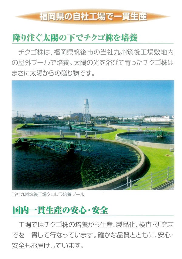 福岡県の自社工場で一貫生産