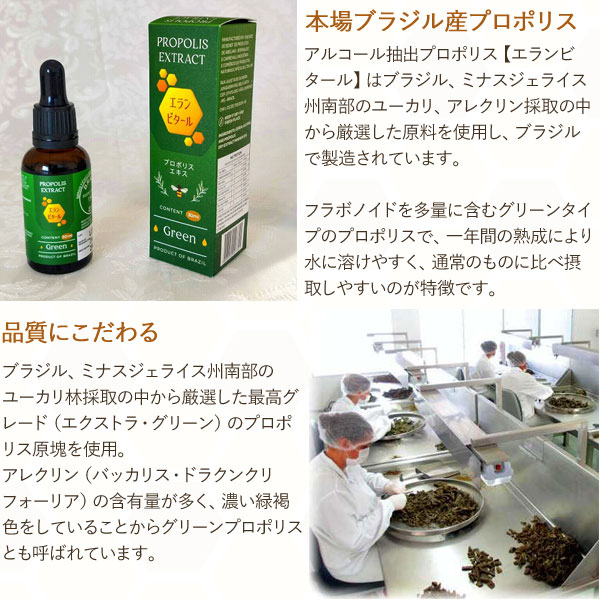 ブラジル産のプロポリス