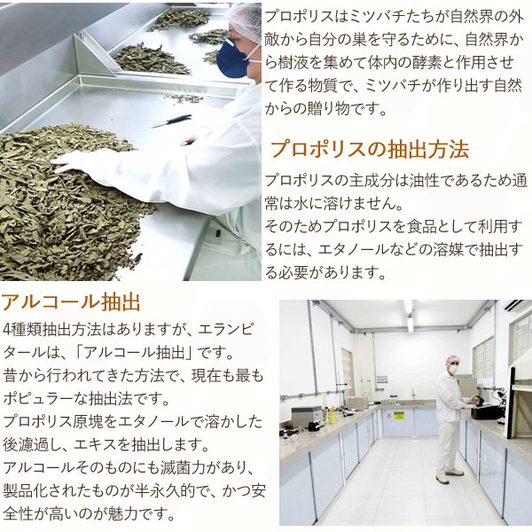 プロポリスの抽出方法
