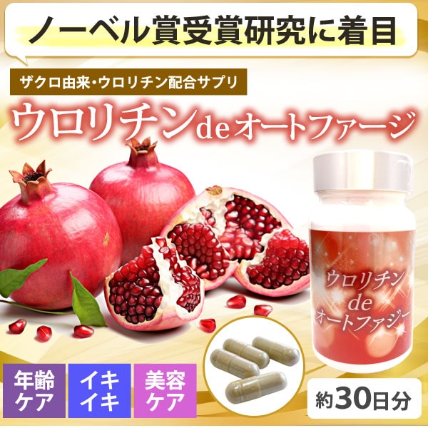 ウロリチンdeオートファージ