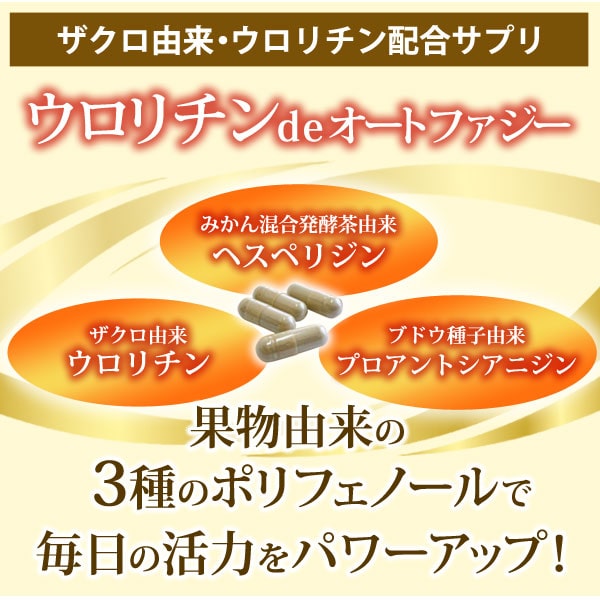 ザクロ由来・ウロリチン配合サプリ、ウロリチンdeオートファジーは果実由来の3種のポリフェノールで毎日の活力をパワーアップ!
