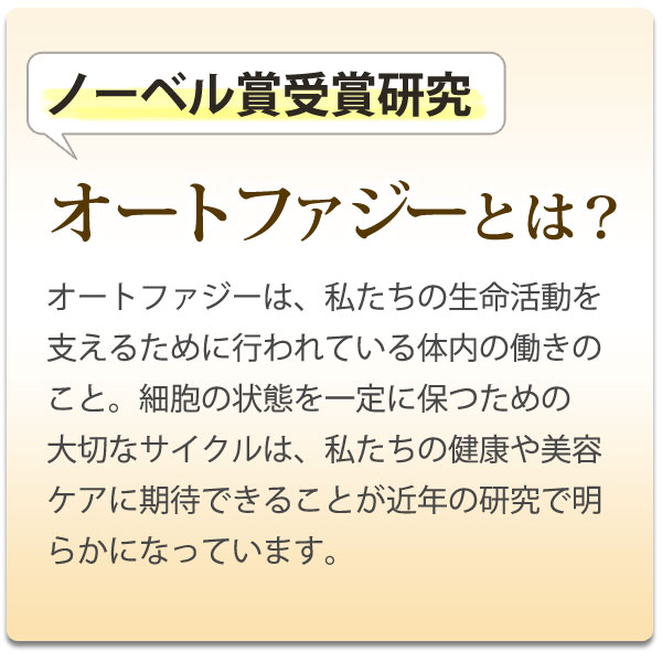 ノーベル賞受賞研究、オートファジーとは?