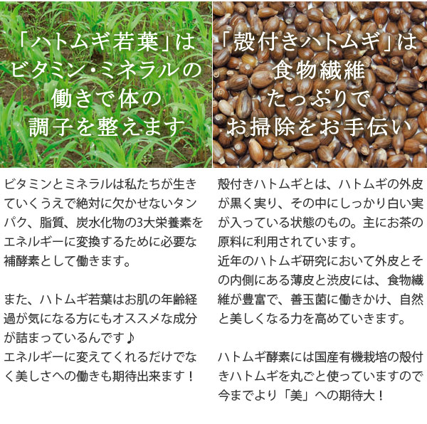 お腹から広がるキレイ、キーワードはお掃除!悩みの原因はお腹から来ていませんか?ハトムギ酵素はお腹の中から考えます