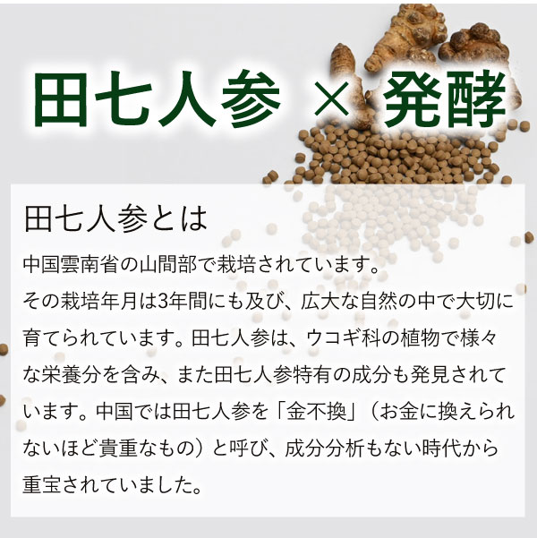 田七人参とは？