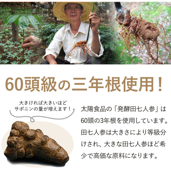 発酵田七人参は60頭級の三年根使用！
