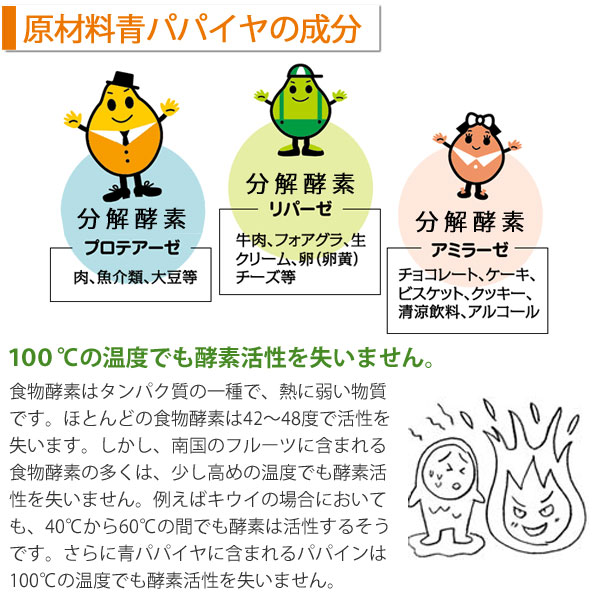 青パパイヤの成分。分解酵素のプロテアーゼ、リパーゼ、アミラーゼ