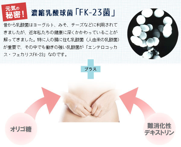 元氣の秘密は濃縮乳酸球菌「」FK-23菌