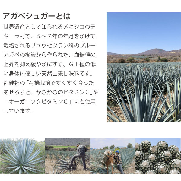 アガベシュガーとは