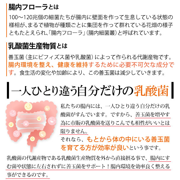 1人ひとり違う自分だけの乳酸菌