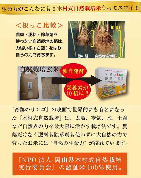 木村式自然栽培米ってスゴイ!!農薬・肥料・除草剤を使わない自然栽培の稲は力強い根をはり自らの力で育ちます。NPO法人岡山県木村式自然栽培実行委員会の認定米100%使用