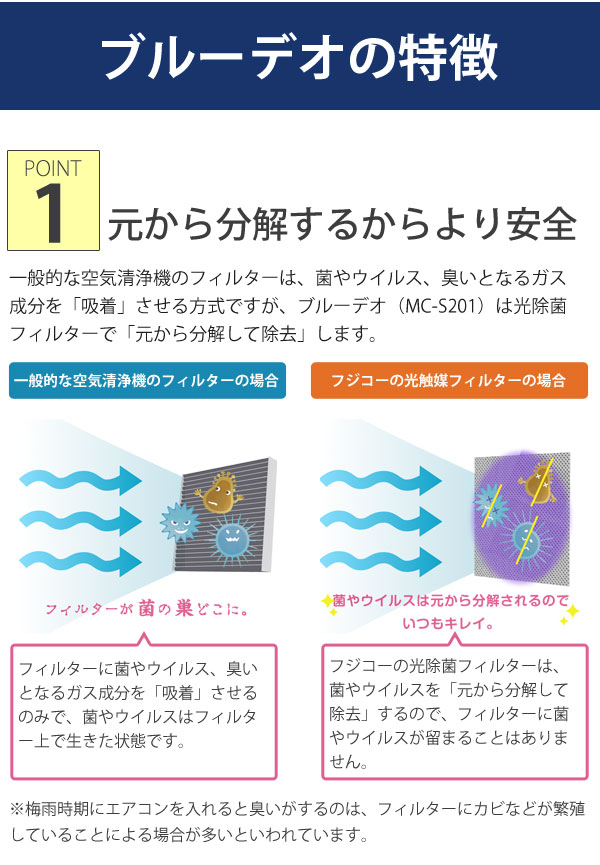 ブルーデオの特徴