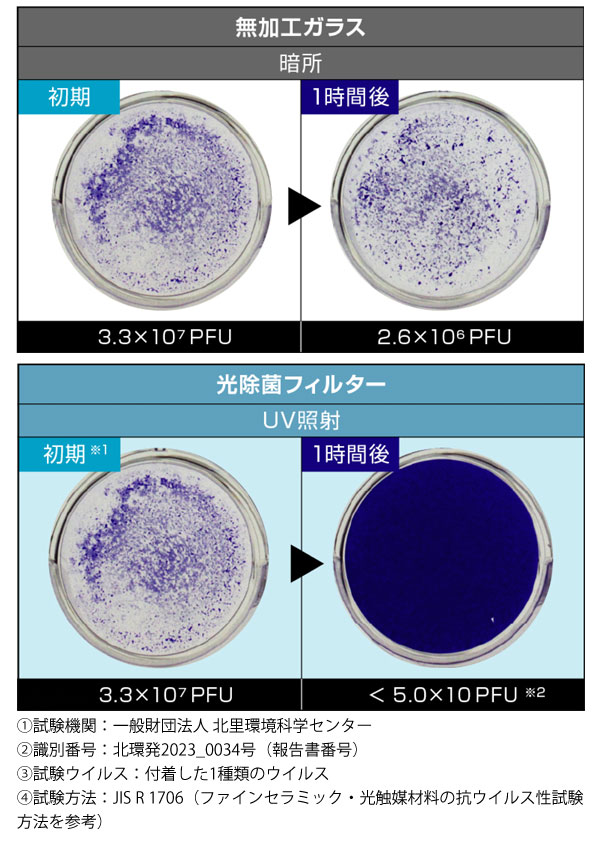 フィルター試験