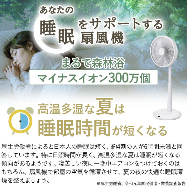 ゼンケンのDCファン2