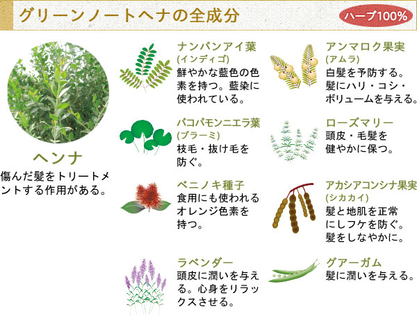 グリーンノートヘンナと他のヘナの違いって?