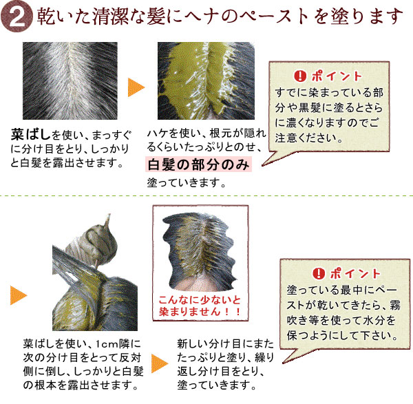 グリーンノート白髪染めの方法2