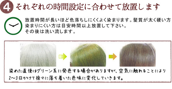 それぞれの時間設定に合わせて放置します グリーンノート白髪染めの方法4