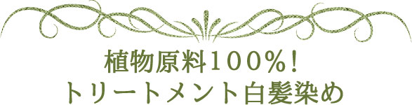 植物原料100%!トリートメント白髪染め 染めたほうが髪に良い!グリーンノートヘナオーガニータ