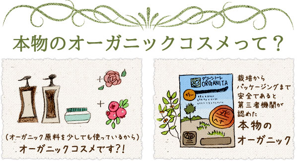 栽培からパッケージングまで安全であると第三者機関が認めた本物のオーガニックヘナ(有機白髪染め)