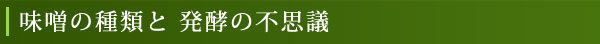 味噌の種類と発酵の不思議