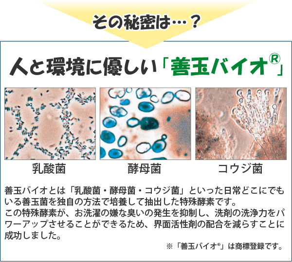 善玉バイオ 浄 ジョウ JOE その秘密は…?人と環境にやさしい善玉バイオ!