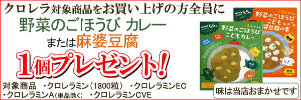 プレゼント