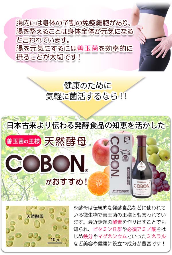 腸内には身体の7割の免疫細胞があり、腸を整えることは身体全体が元気になると言われています。腸を元気にするには善玉菌を効率的に摂ることが大切です!健康のために気軽に菌活するなら!日本古来より伝わる発酵食品の知恵を活かした善玉菌の王様コーボンがオススメです。
