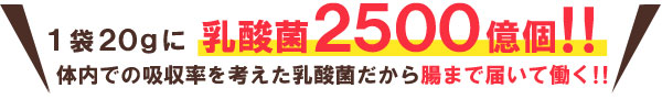 １袋に乳酸菌２５００億個！体内での吸収率を考えた乳酸菌だから腸まで届く！！