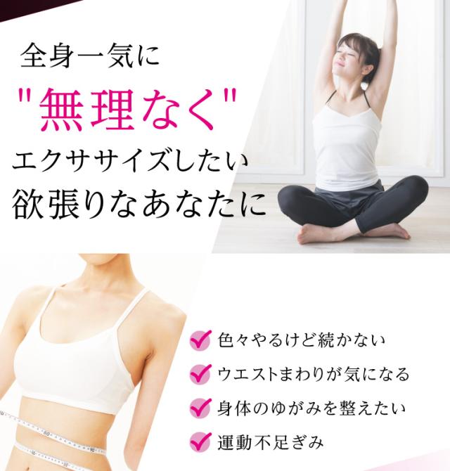 絶対一番安い ウエスト 引き締め グッズ 美バランス 骨盤ねじねじツイスター 椅子に座ってねじるだけ ツイストシート エクササイズ ダイエット 新商品 Www Songtainews Net