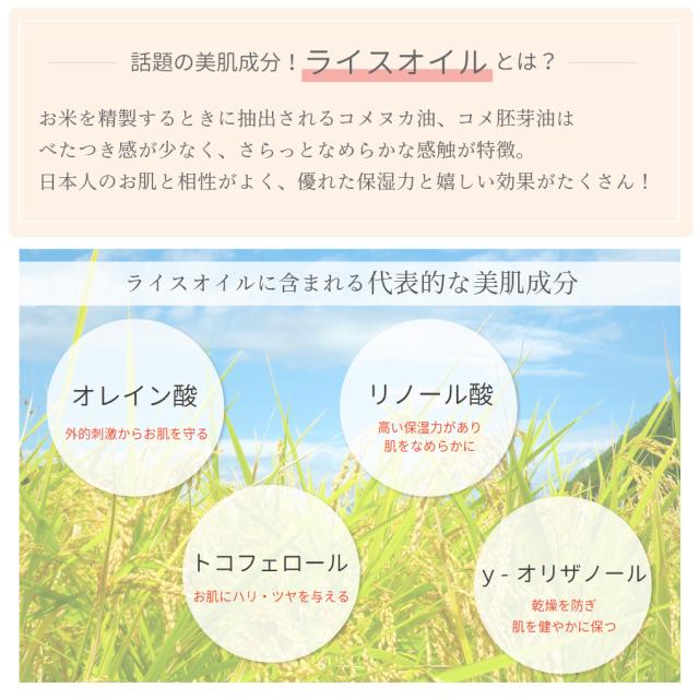 美肌成分豊富 ライスオイル