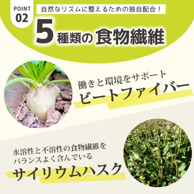 ビートファイバー　サイリウムハスク