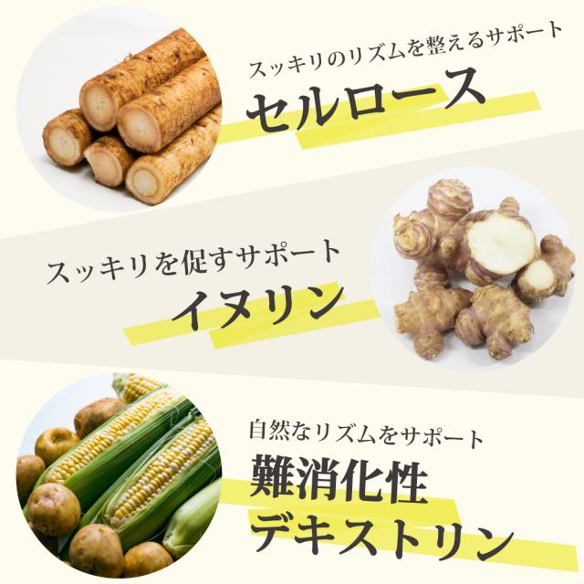 セルロース　イヌリン　難消化性デキストリン