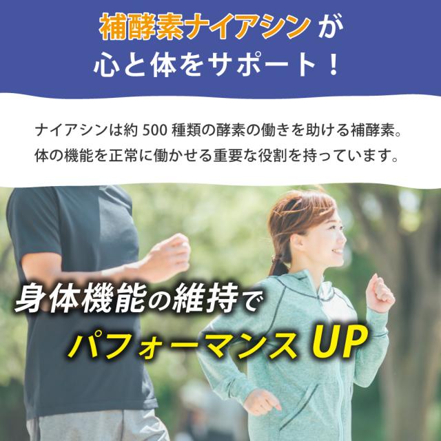 ナイアシン　身体機能維持