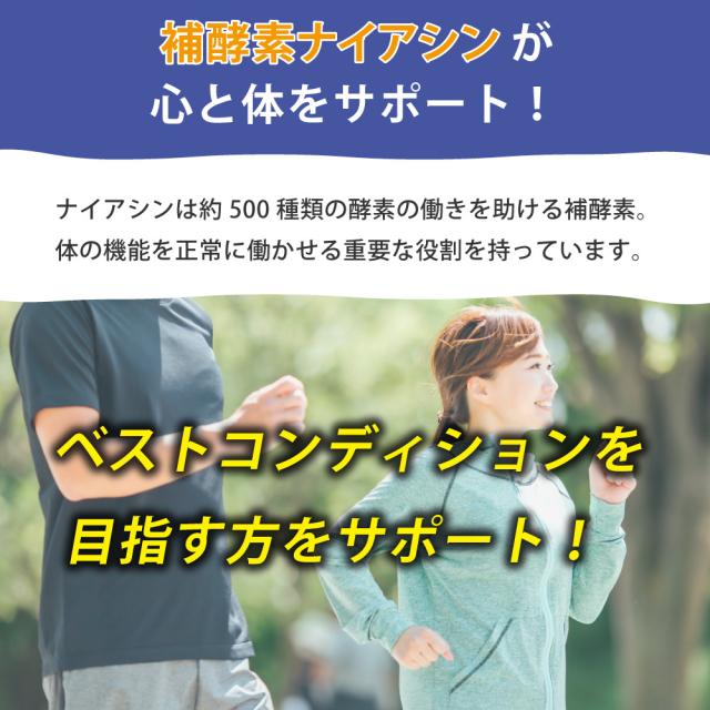 ナイアシン　身体機能維持