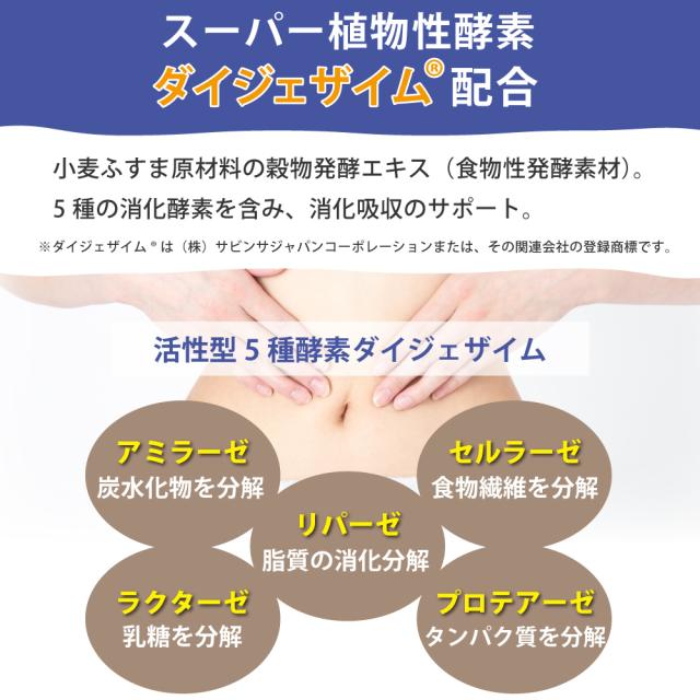 食物性酵素　ダイジェザイム　消化吸収のサポート