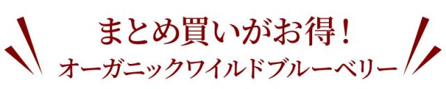まとめ買いがお得！オーガニックワイルドブルーベリーラインナップ
