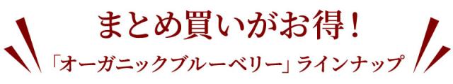 まとめ買いがお得！オーガニックブルーベリーラインナップ