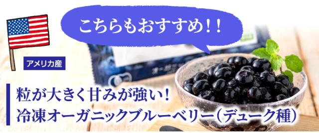 こちらもおすすめ！オーガニックブルーベリーラインナップ