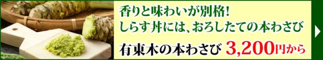 本わさび