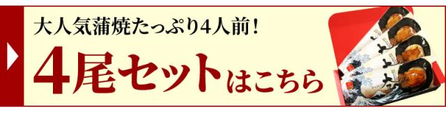 4尾セット