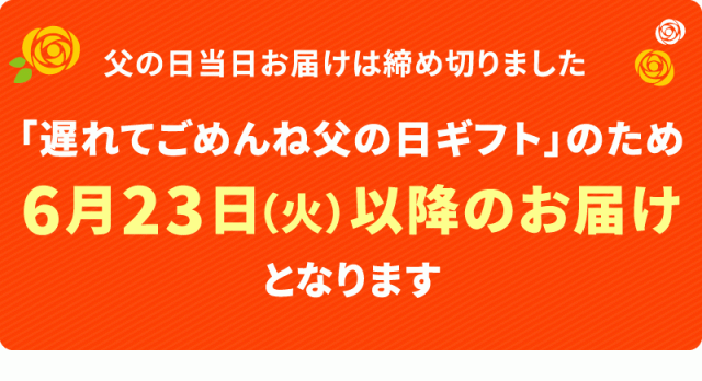 父の日遅れてごめんね