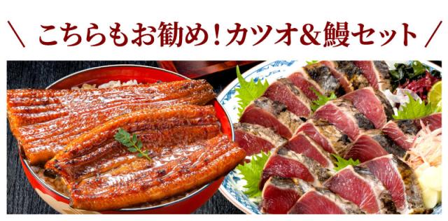 こちらもお勧め！カツオ＆鰻セット