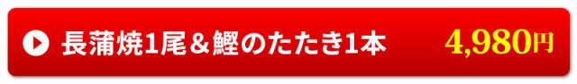 長蒲焼1尾&カツオのたたき1本