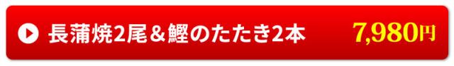 長蒲焼2尾&カツオのたたき2本