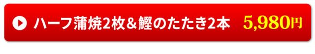 ハーフ蒲焼2枚&カツオのたたき2本