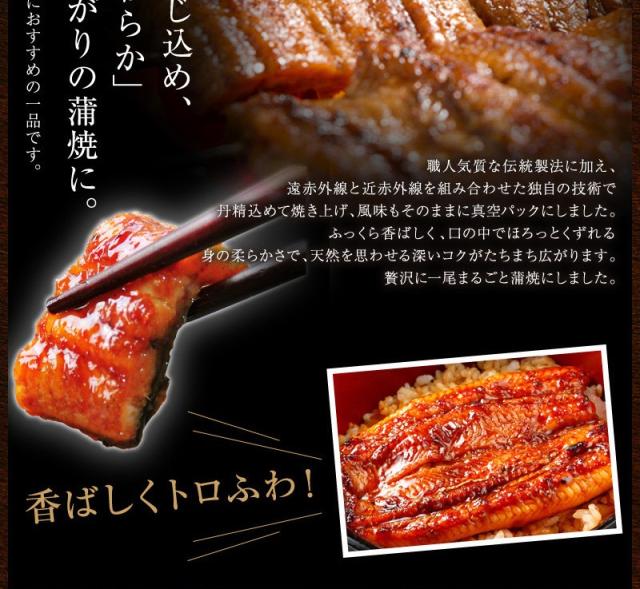 新作モデル 国産うなぎ 蒲焼ミニカット メガ盛り1kg 30パック お買い得 まとめ買い 土用の丑の日 うなぎ ウナギ 鰻 送料無料 簡易箱 豪華 Cerqualandi It