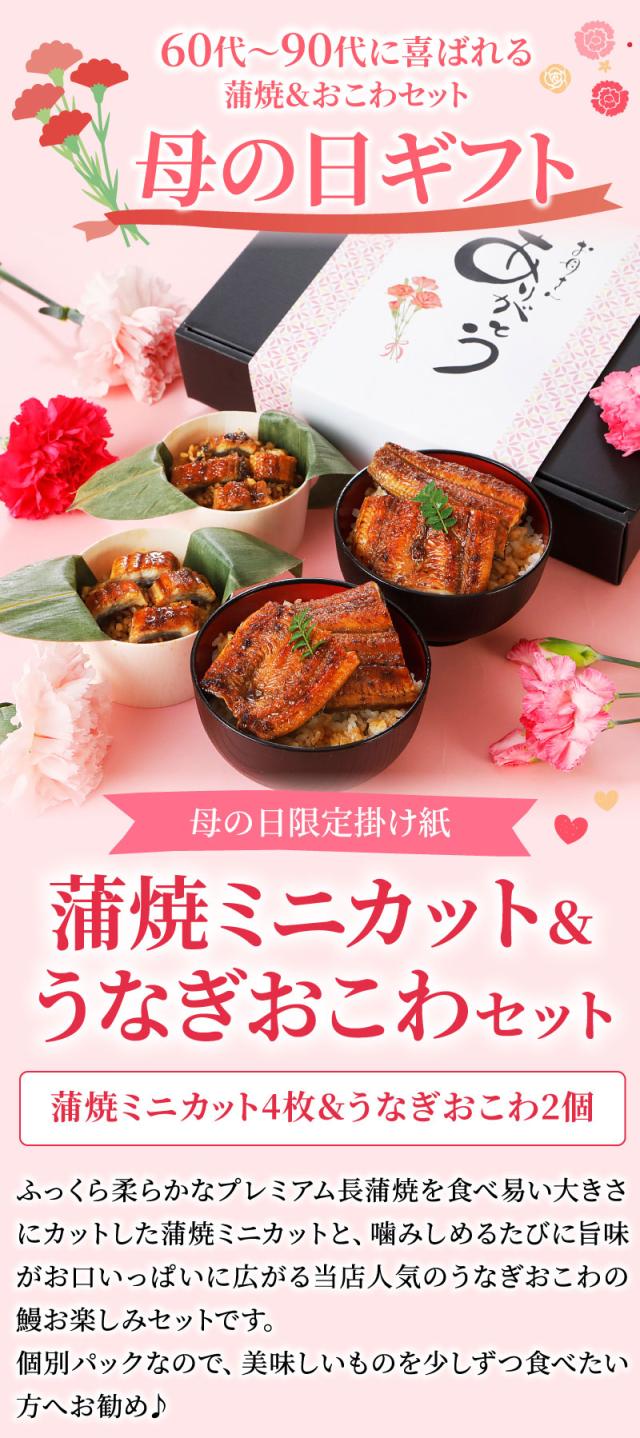 60代、70代、80代、90代に喜ばれる！うなぎ蒲焼＆おこわセット