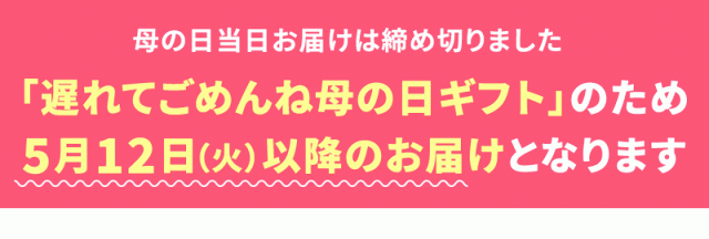 遅れてごめんね母の日