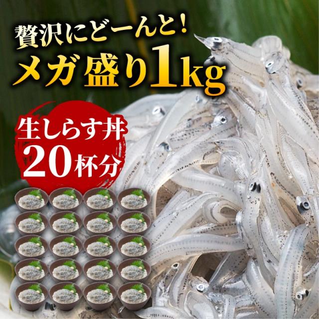 しらす丼20杯分