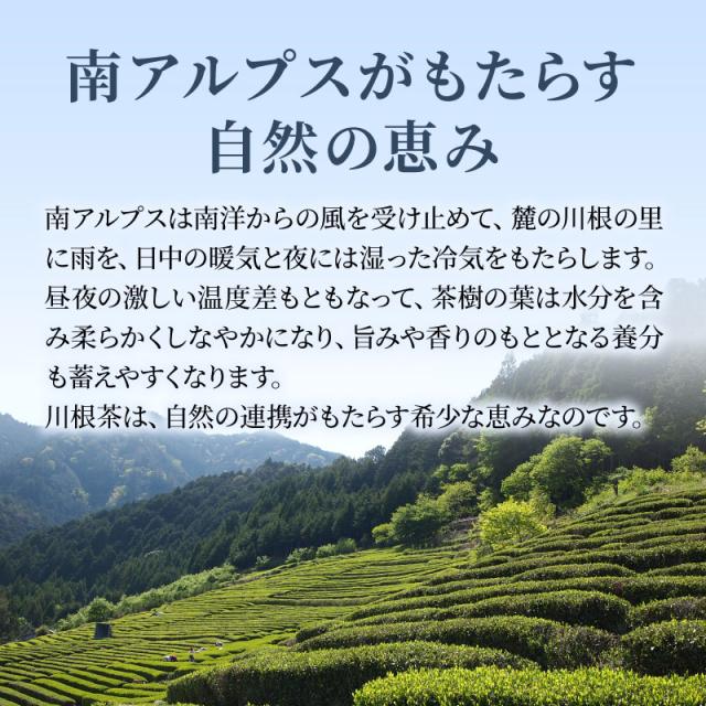 川根茶について